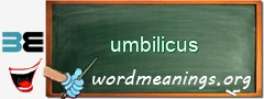 WordMeaning blackboard for umbilicus